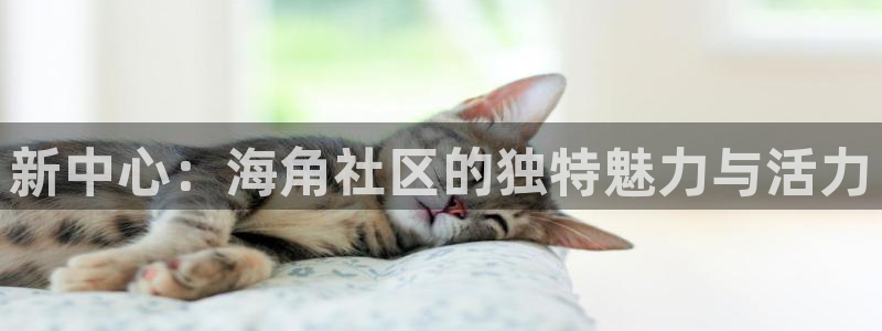 hj4b海角社区：新中心：海角社区的独特魅力与活力