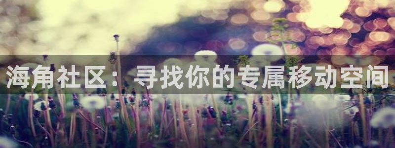 海角社区地址获取