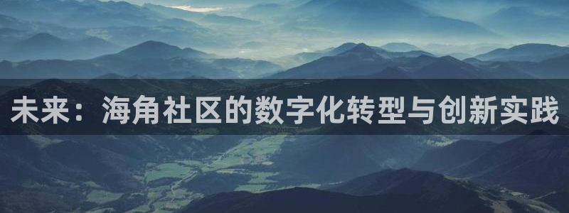 海角社区 网页：未来：海角社区的数字化转型与创新实践