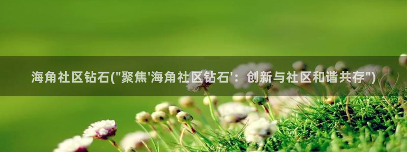 谁有海角社区的链接：海角社区钻石(\