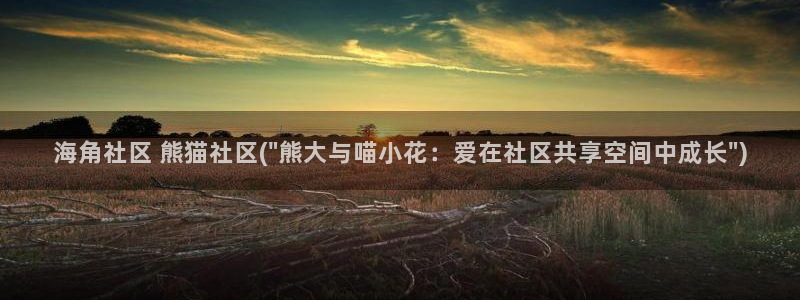 海角社区破解版网址：海角社区 熊猫社区(\