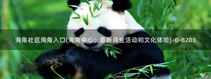 海角社区电脑怎么进：海角社区海角入口(海角中心：最新商业活动和文化体验)